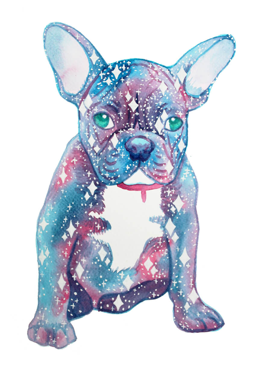 How to Create a Galaxy Pet Portrait Using Watercolour Paint